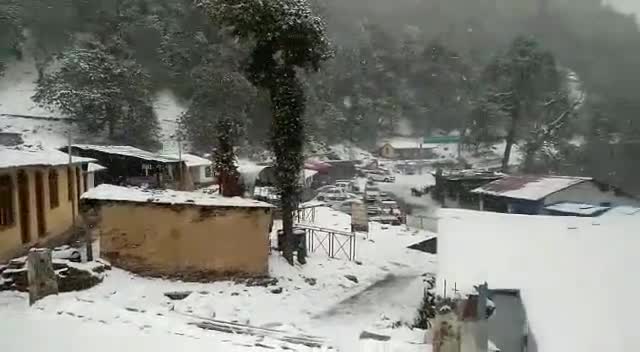 रुद्रप्रयाग: विश्व प्रसिद्ध पर्यटक स्थल चोपता-तुंगनाथ में बर्फबारी, पर्यटकों के साथ ही व्यापारियों के खिले चेहरे
#चोपता #तुंगनाथ
