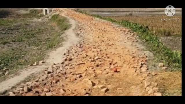 छातापुर: भीमपुर केवला वार्ड 1 में पक्की सड़क ना होने से लोग परेशान #जन_समस्या