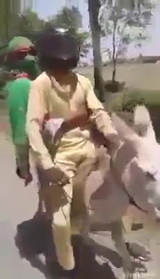 पेट्रोल की मंहगाई से परेशान #अंधभक्त की खोज, बिना पेट्रोल की बाइक... 👇
😁😂😲🤓