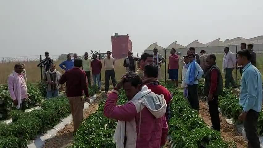 डॉक्टर द्विवेदी, हेड केवीके भोजपुर आरा #किसानों को सूक्ष्म #सिचाई के उपयोग के फायदे एव॔ अनुदान  की जानकारी दे रहे हैं।