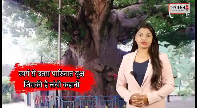 #दुनिया का इकलौता पेड़ देखे सिर्फ पब्लिक एप्प पर / #फॉलो_करें plz