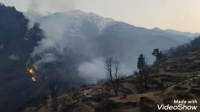 चमोली: दसौली ब्लॉक के दूरस्थ गांव ईरानी के जंगलों में लगी आग, कई हेक्टेयर वन संपदा जलकर हुई राख #aag #forest #badrinath