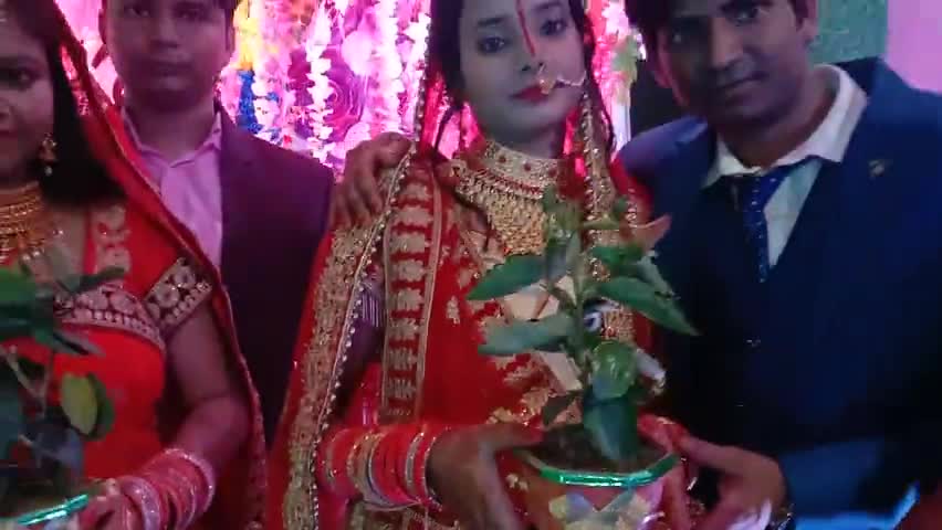 #पहल एक साथ तीन मौसेरे भाई के बहुभोज के उपलक्ष्य पे#पौधा#भेट#कर#नए दाम्पत्य जीवन में प्रवेश की हार्दिक शुभकामनाएं व बधाई