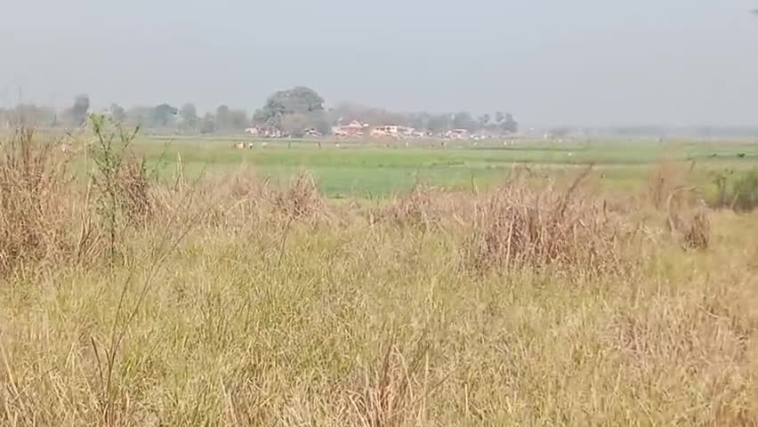 बलिया: माधव ब्रम्ह बाबा मेला 
हर साल एक बार होता है ।
#मेला
#चित बडा गाव बलिया ।