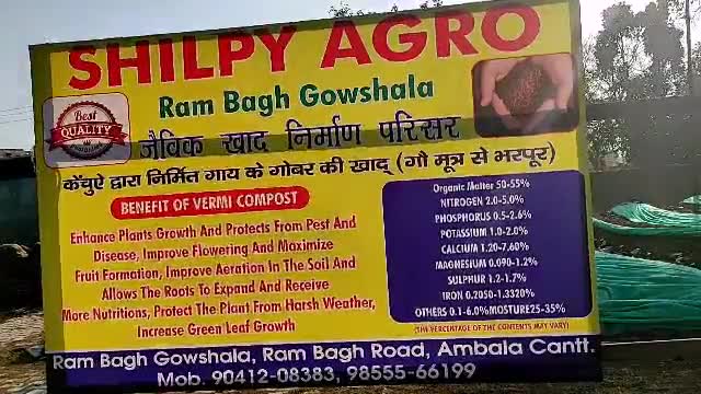 अम्बाला कैंटोनमेंट: जिला छावनी की बेटी ने कर दिखाया कमाल, गोबर से बनाए गमले व लक्कड़ #publicsalutewomen