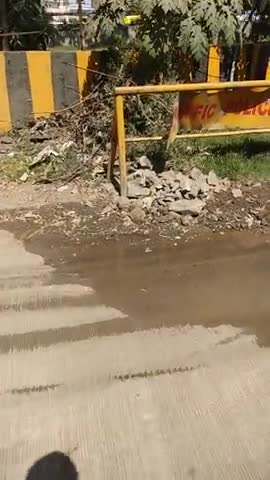 इंदौर: #indorenagaringam#﻿#bjpmp#indore #indorenews#viralnews #nagar_nigam# ﻿#abpnews
