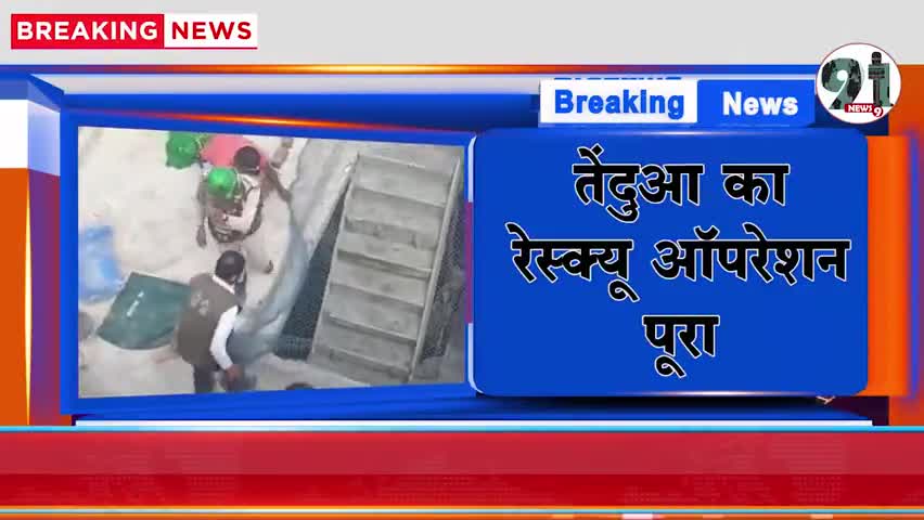 इंदौर: #आदमखोर तेंदुआ आखिरकार 24 घण्टे के भीतर ही पकड़ा गया।