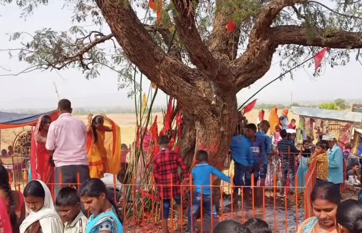 डंडा: डंडा के मोतिहारा में महाशिवरात्रि पर भाजपा नेता ने की पूजा-अर्चना #भाजपा #पूजा_अर्चना
