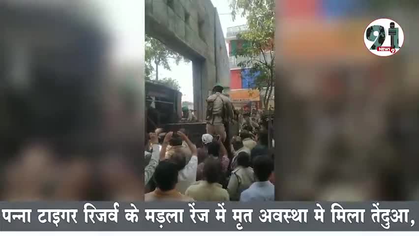 इंदौर: #आखिरकार मारा गया तेंदुआ, जानिये कैसे और कहां ?