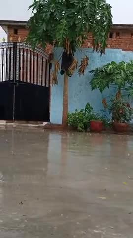 पलेरा: पलेरा में हुई हल्की हल्की बारिश और साथ मे हबाये ने भी अपना रुख बदल #बारिस #premgautam851
