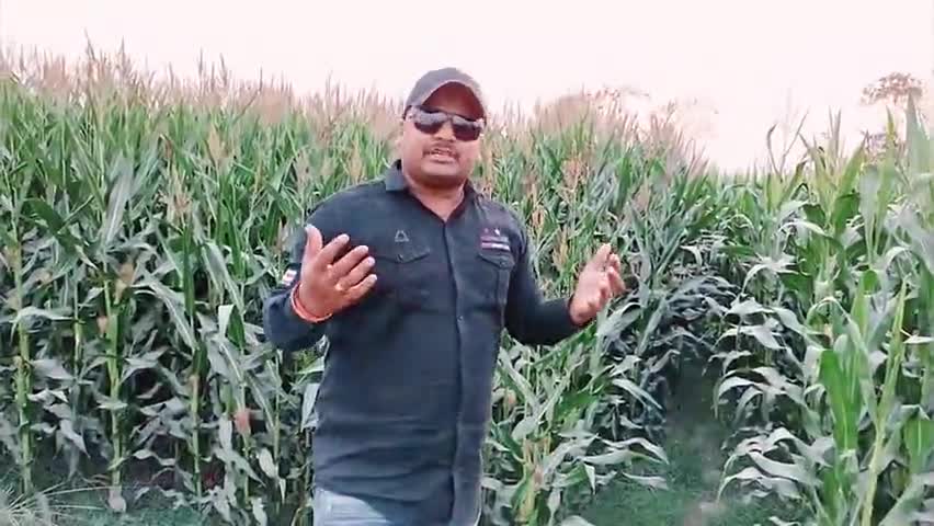 आप तामाम देशवासियो को होली पर्व की ढेर सारी शुभकामनाये और बधाईया धिरज रंजन की और से !
#dhirajranjanjacp