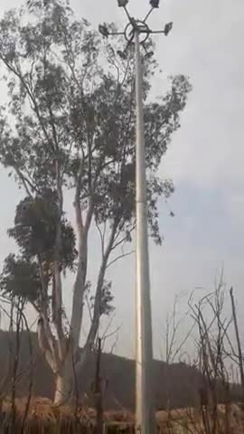 बिश्नामपुर नगरपरिषद के वार्ड नं 19 के पचघाराखुर्द गांव में नही जलाया गया हाइ मास् लाइट #urban D.&H.Department of jharkh.