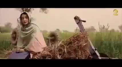 सोनिया मान व अजय हुड्डा ने तहलका मचा दिया इस गीत से#जिंदाबाद जवानी, ज़िंदाबाद किसानी..