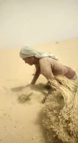 21 मार्च जैसलमेर की तरफ से बाड़मेर आई बाढ़रूपी तुफान भरी आंधी से किसानों की बदहाल स्थति, 
#Former