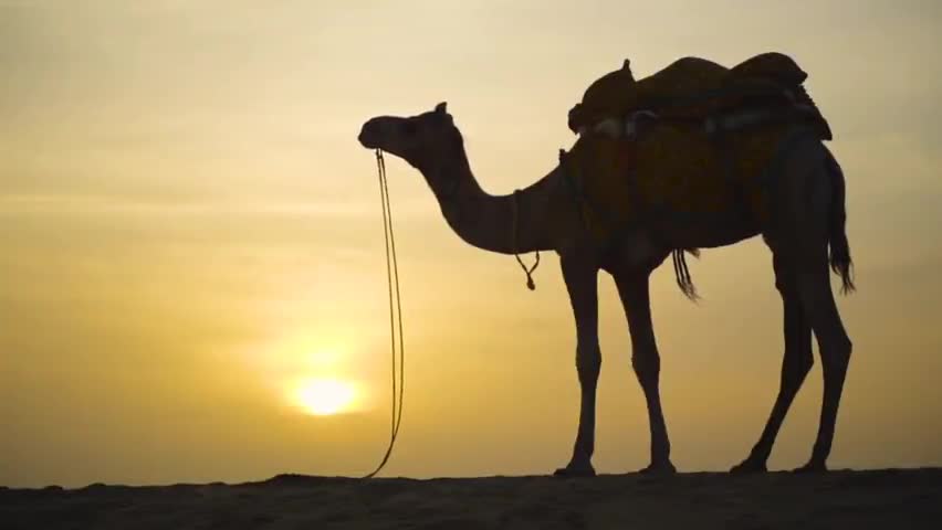 जैसलमेर: बीरा मना बेगो तेड़न आय, आयी श्रावण री तीज

#sawanteej #songofmarwar #jaisalmer #jaisalmernews #marwadisong #sindhisong