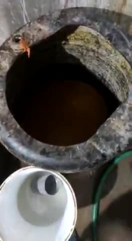 #सिंगरौली में दो सआइसक्रीम #फैक्ट्री शील