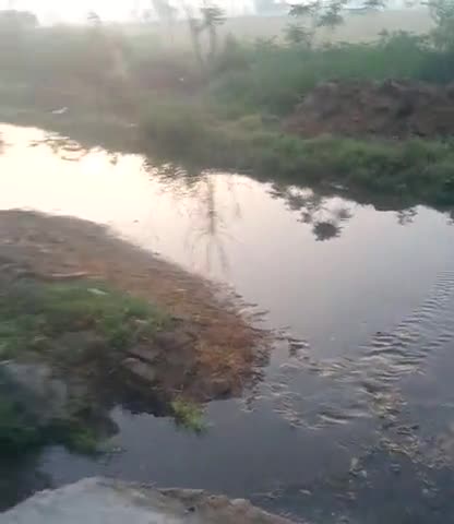 गन्नौर: गांव उदेशीपूर में नाले टूटे पड़े गलियों में पानी भरा नाले कि कोई सफाई नहीं होती कृपा करके इसे ठीक कराए #villagenews