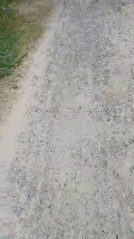 हाथरस के विकास खंड हसायन गांव श्यामपुर का मार्ग हो चुका है जर्जर नहीं होती कोई सुनवाई
 #Dmhathras से हाथ जोड़कर अनुरोध