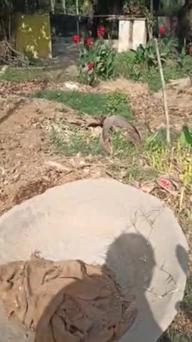 ग्राम समाज के तालाब को अतिक्रमण करके कर दिया गया है समतल, नहीं हो रही है कोई कार्रवाई, कैसे होगा जल संचय?
#तहसीलदार