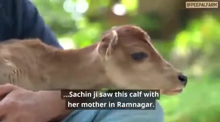 क्या आप खुशी की तलाश में हैं? तो यह वीडिओ ज़रूर देखिए!

#robinsingh #animalwelfare #animalrescue #peepalfarm #peoplefarm