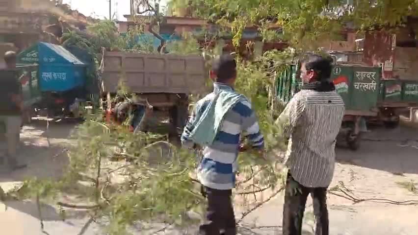 चरखारी नगर पालिका के पास आज अचानक दोपहर में #पेड़ #टूटने से बहुत बड़ा हादसा बचा  वाहन हुए क्षति ग्रस्त