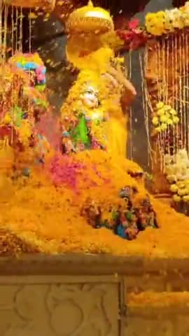 भागवत भवन, श्री कृष्ण जन्मभूमि मथुरा में फूलों की होली।
#होली_है
#happy_holi 
#holi
