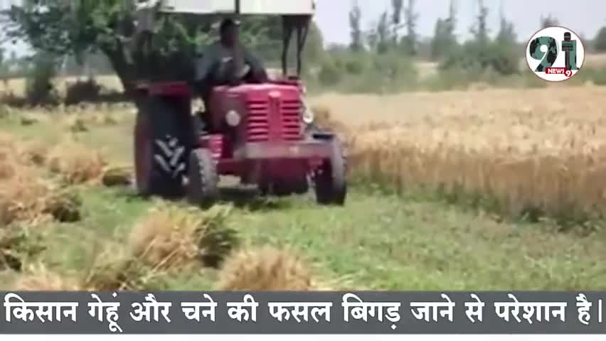 #तापमान के बिगड़ने के गेंहू और चने की फसल पर पड़ा गम्भीर असर, किसान सकते में।