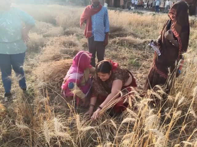वार्ड नंबर 14 की एकमात्र महिला प्रत्याशी ने अपनाया प्रचार प्रसार करने का एक अनोखा तरीका #भदोही #BN9_tv