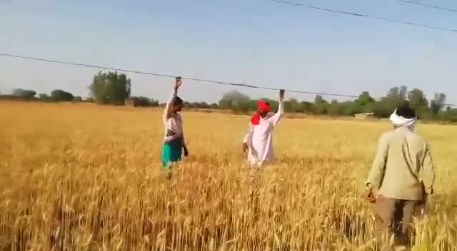 बबेरू:#फुफन्दी फीडर के ग्राम #साथी से भदेहदू के बीच #1997की पुरानी लाईन गर्म #बार बार टूटती है #शिघ्र बदलवाएं #पीसी पटेल