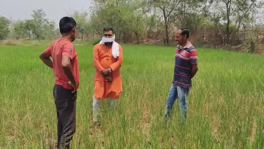 आत्म हत्या करने किसान तैयार
बिजली सुधारो भूपेश सरकार
#bjp4cgstate  #kisanagainstbhupesh #amitsahu