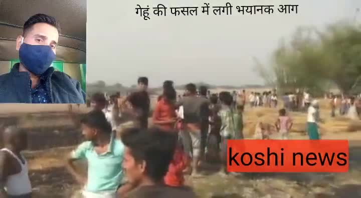 सुपौल: अम्मा सिरसा के बीच बाघ में लगी भयानक आग , बिसो बीघा से ज्यादा गेहूं जलकर राख , रो रहे किसान#koshi news
