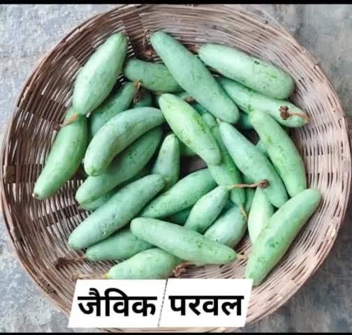 #RJ #Organic #Farmer #Producer #Company, Chak Haji 
Regn. No-U01100BR2020PTC48420
 Rs- 60/-Kg
Mob-07979047534