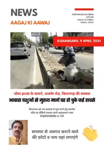 डिवाइडर पर आवारा पशुओं का राज #Kishangarh #accident #आवारा पशु #किशनगढ़ #न्यूज़ #आगाज