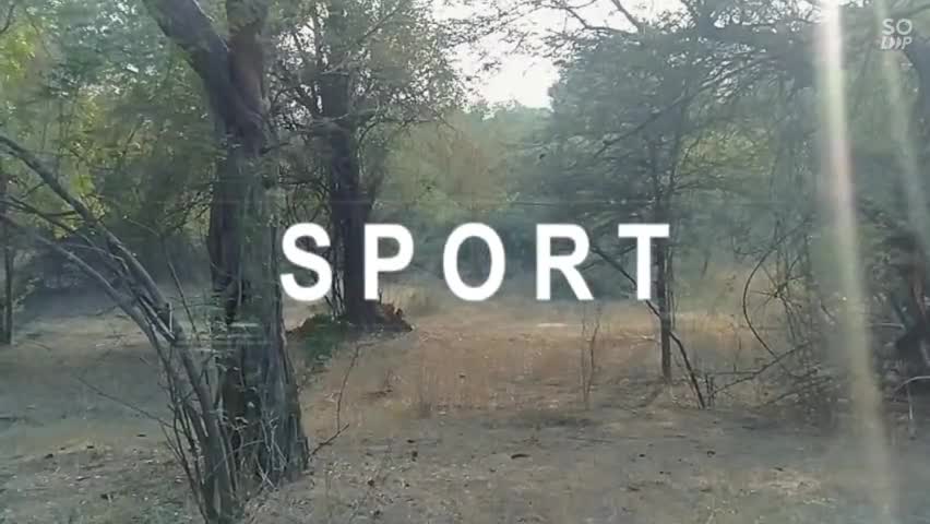 खुली हवा हो, खुली जगह हो
और जीने को क्या चाहिए😍
#ashu_lyricist
#ranthambhore #sawaimadhopur #Amreshwar #viral #tiger