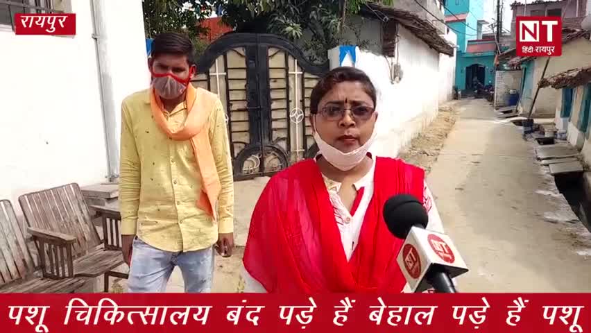रायपुर: #Raipur में #LockDown लगने से #पशुओं की हालत #खराब, कोई देखने वाला नहीं #बेहाल पड़े #गौवंश!