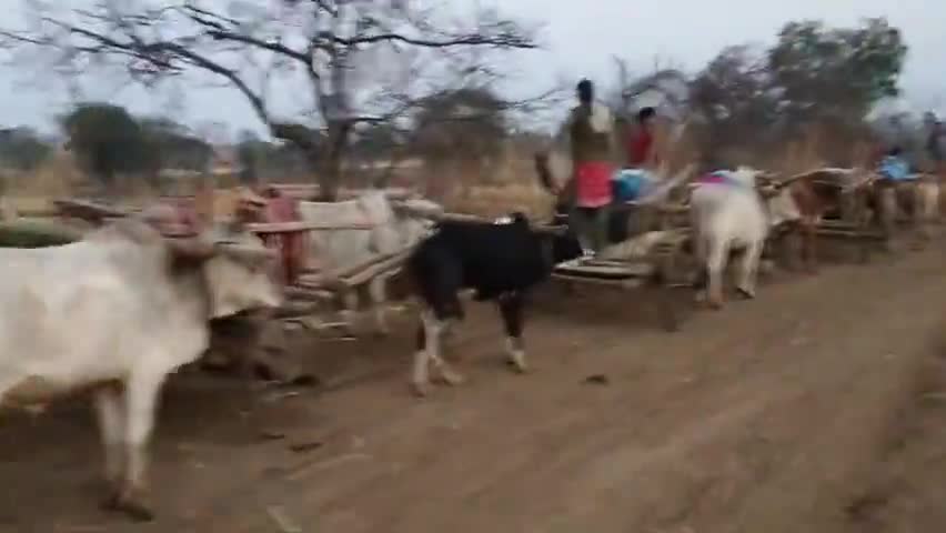 अमरवाड़ा: अमरवाड़ा के ग्राम पंचायत बिनेकी में बीते कई सालो से यही पानी की समस्या बड़ी जा रही ।
#shivrajsinghchouhan #kamlnath #