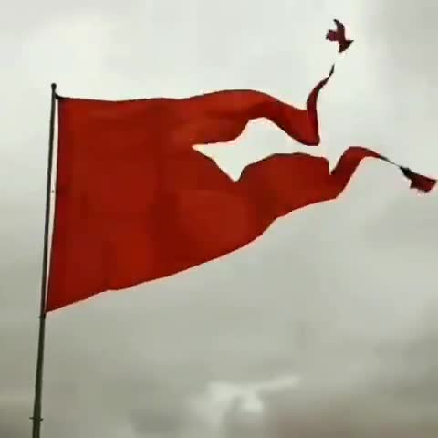 आन बान शान #bhagwa #jaishriram