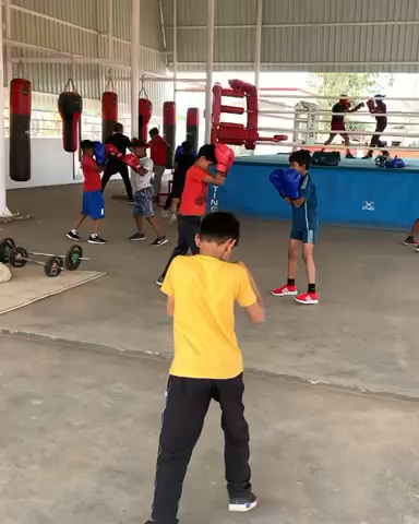 #ManojKumarBoxingAcademy
#kurukshetra
#haryana
#india
#coaching
#boxing 
#sports
#university
#media
#karnal
#kaithal