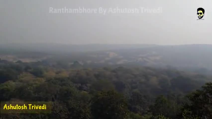 Ranthambhore को सुन्दरता 😍
#ashu_lyricist
#iamashu #originalvideo #nature  #originalvoice #Ranthambhore #viral #jungle