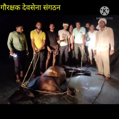 #जयश्रीराधे  #जयश्रीकृष्णा  #जयगौमाता 
#रात 10 बजे आवारा नंदी का इलाज करती हुई देवसेना
    गौरक्षा ही देश रक्षा है। 🕉