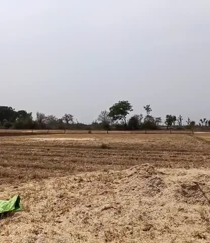 पिछोर: पिछोर के Naya Gaon Gaon Mein Ho Rahi Kisan Pareshan #kissan#ashish#pichore