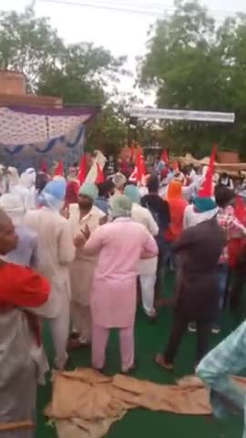 पीलीबंगा: #pilibangan#  trecter traoli darna