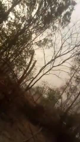 आज किसानों का इस वर्ष की पहली धूल भरी आँधी से सामना हुआ। आँधी के बाद छिटपुट बारिश भी हुई #आँधी  #aandhi #pailani #banda