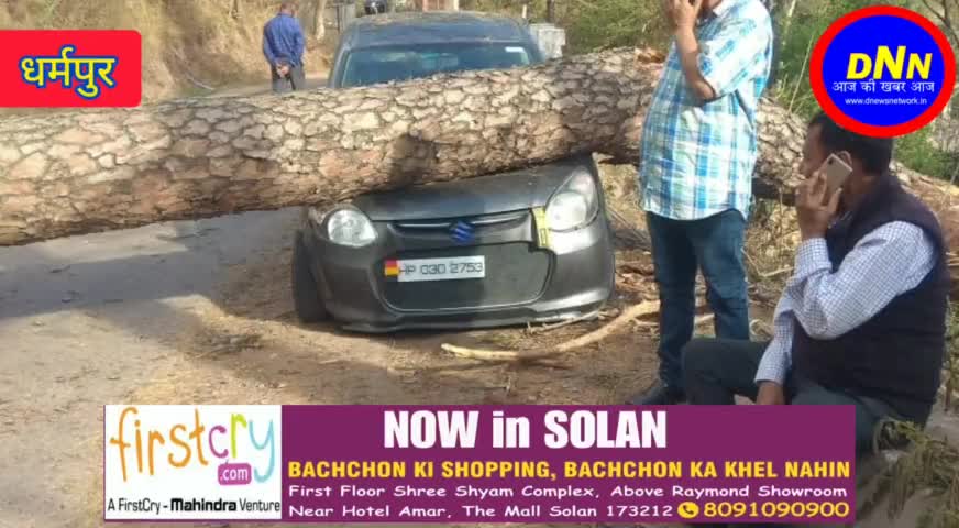 कसौली - धर्मपुर सड़क पर गिरा विशालकाय पेड़, गाड़ी क्षतिग्रस्त #dnewsnetwork #dnn #accident #dharampur #kasauli