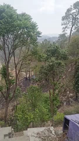 अल्मोड़ा: almora #uk01#mamrchna
#whdura #uk01#