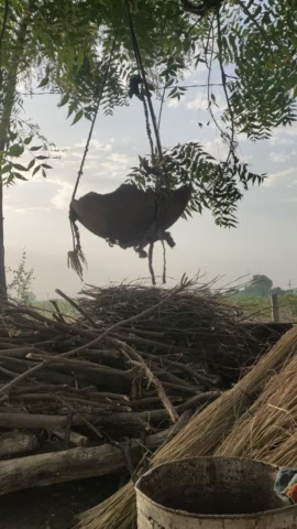 आज हमने बेजुबान पक्षियों के पानी पीने के लिए बांधे परिंडे 🐦🐦 #पक्षी बचाओ