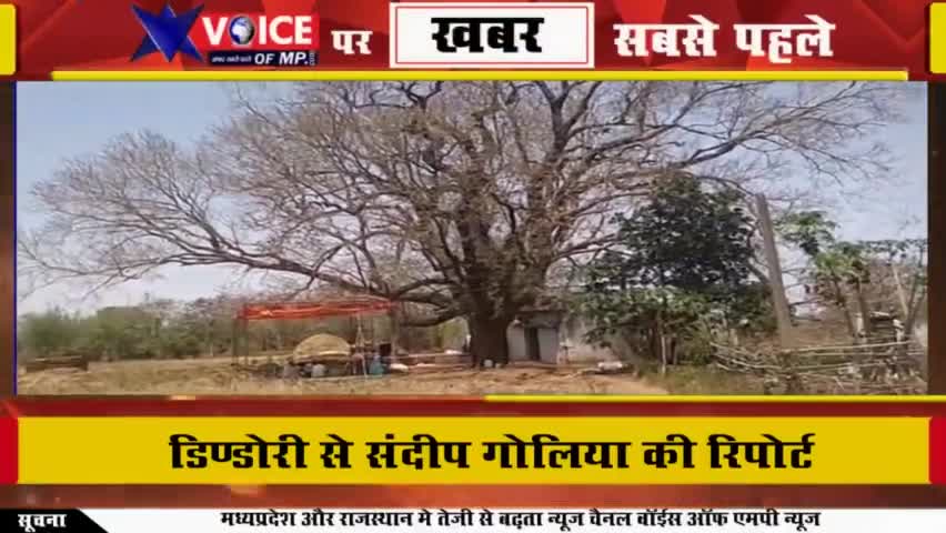 मां के भक्त ने शरीर पर बुलाया जवारे देखें एक झलक।
#शहपुरा