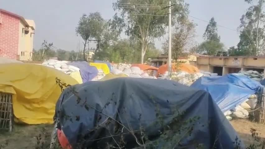 मयूरहंड: मयूरहंड के किसानों ने उपायुक्त से धान खरीदारी चालू कराने की मांग की
#एफसीआई विभाग