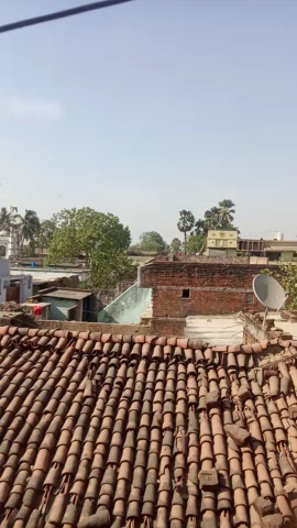 असरगंज: असरगंज प्रखंड के ##बिशनपुर गांव में तेज़ हवा चले लू लगने की संभावना###