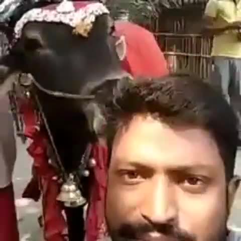मेरे #महादेव का साक्षात #दर्शन और #स्नेह प्राप्त हुआ 💕

#Covid वायरस से #महादेव रक्षा करना,

युवा प्रदेश प्रवक्ता #RJSS